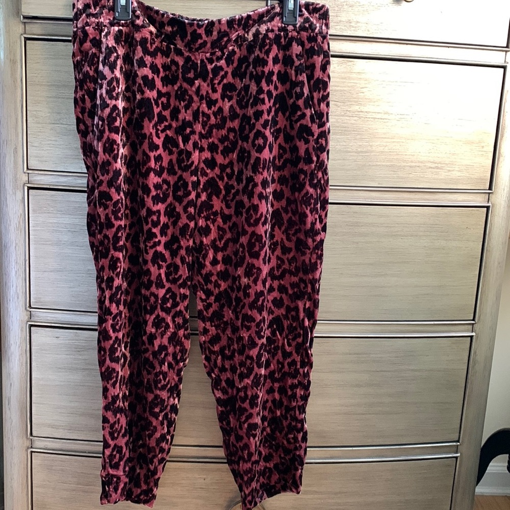 JCrew velour pants with elastic on the back NWT